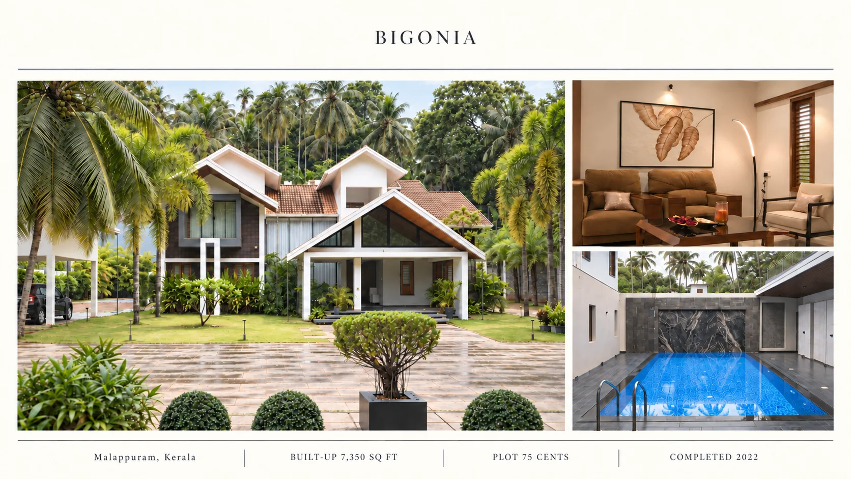 Bigonia